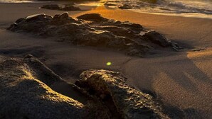 Escena de playa con rocas y olas al atardecer.
