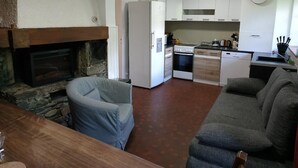 Ein kompakter Wohnraum mit Kamin aus Stein, einer Küchenzeile mit modernen Geräten und einem grauen Sofa.