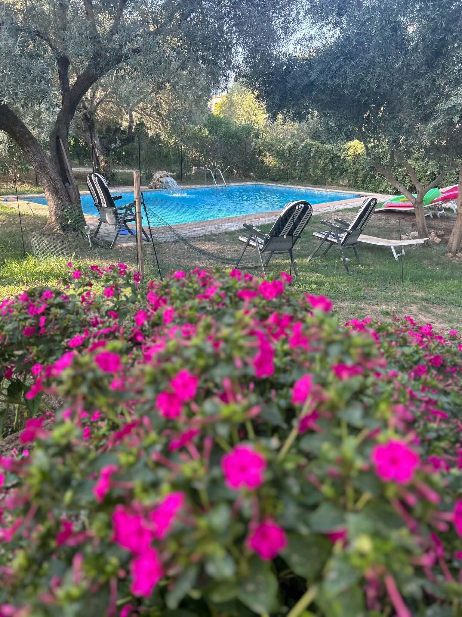 Piscine