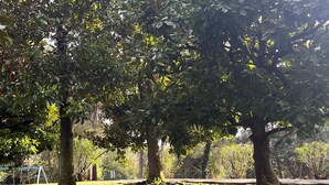 Ein Park mit Bäumen, Rasen und einem Spielplatz.
