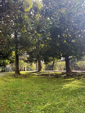 Property grounds - Rapallo vacation apartment with parking and wi-fi a few km from Portofino (Rapallo)