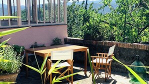 An outdoor patio with a wooden table and chairs, surrounded by potted plants and a stone floor.