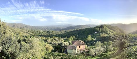 A mountainous landscape with a small house surrounded by greenery.