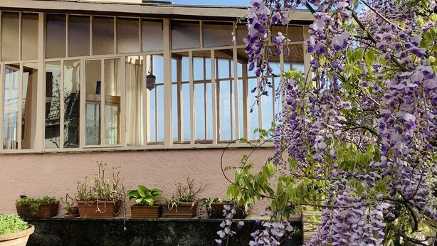 A building with large windows and a garden with purple flowers.