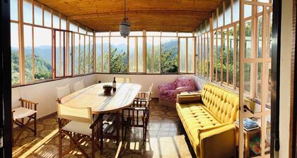 Artists' Villa, 4 bedrooms, large terrace, great views, Cinque Terre 40 min.!