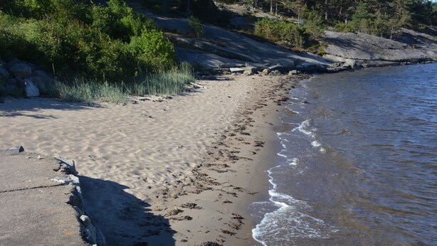A sandy beach with waves, surrounded by dense greenery and rocky terrain.