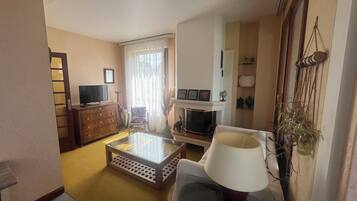 Télévision, lecteur de DVD, livres