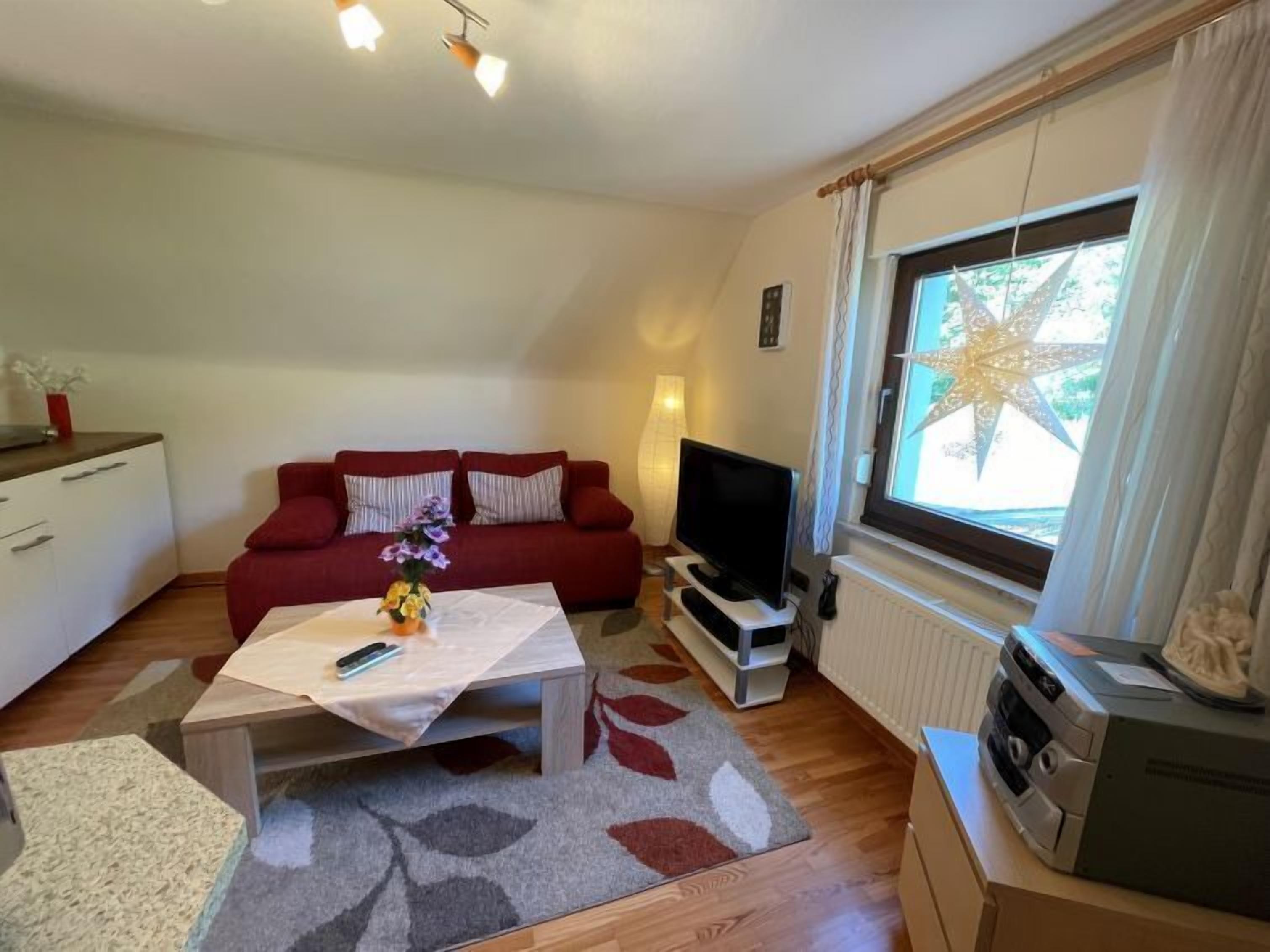 A compact living room with a red sofa, a coffee table, a TV, and a radiator near a window with a star decoration.