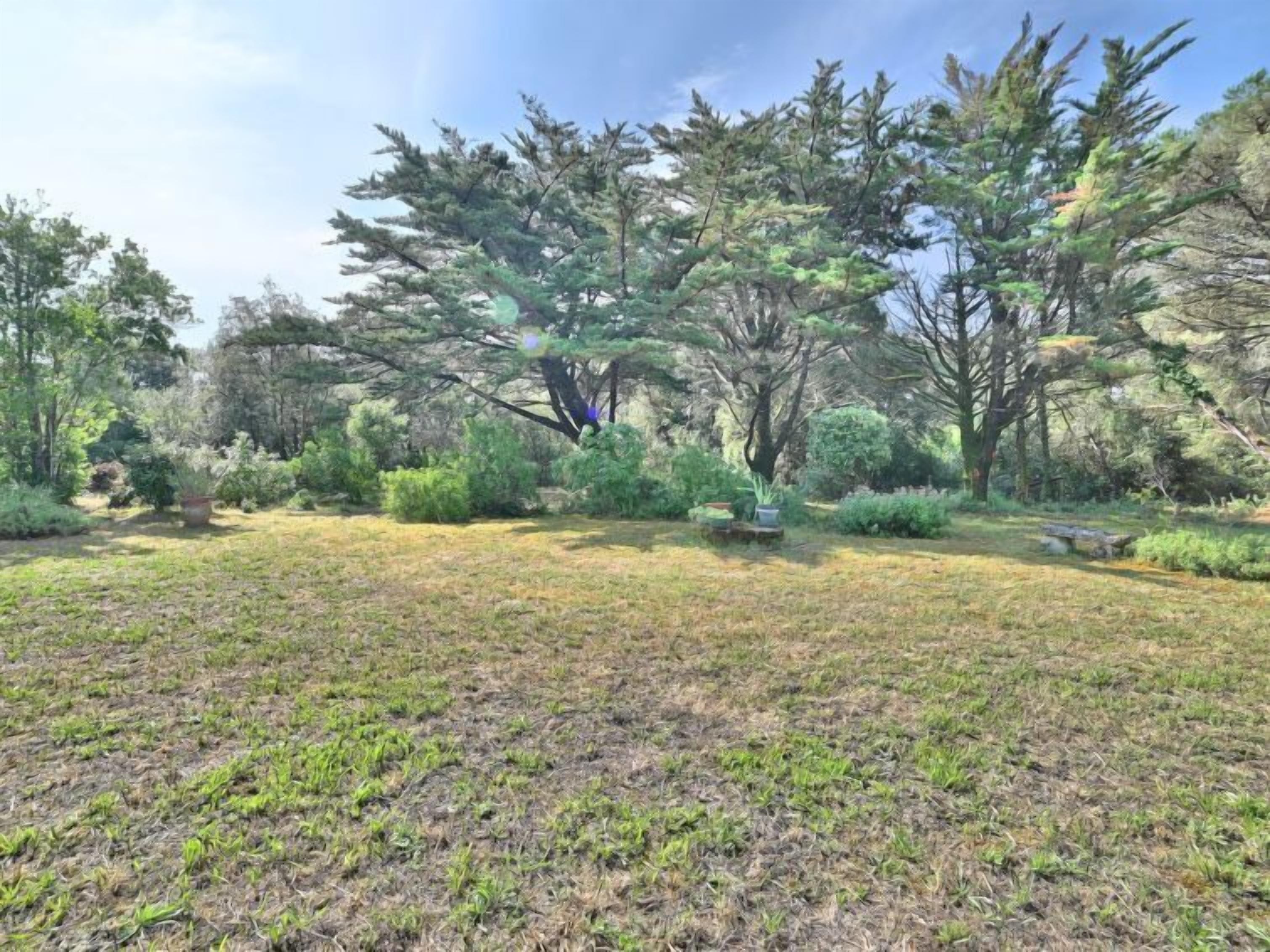 A natural landscape with a grassy field, trees, and shrubs.