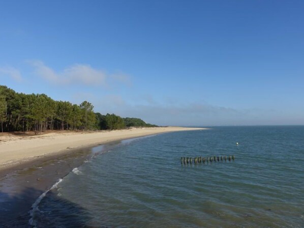 Playa en los alrededores