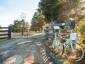 Property grounds - Blue Gum at Langdale 1 by Tiny Away (Bungendore)