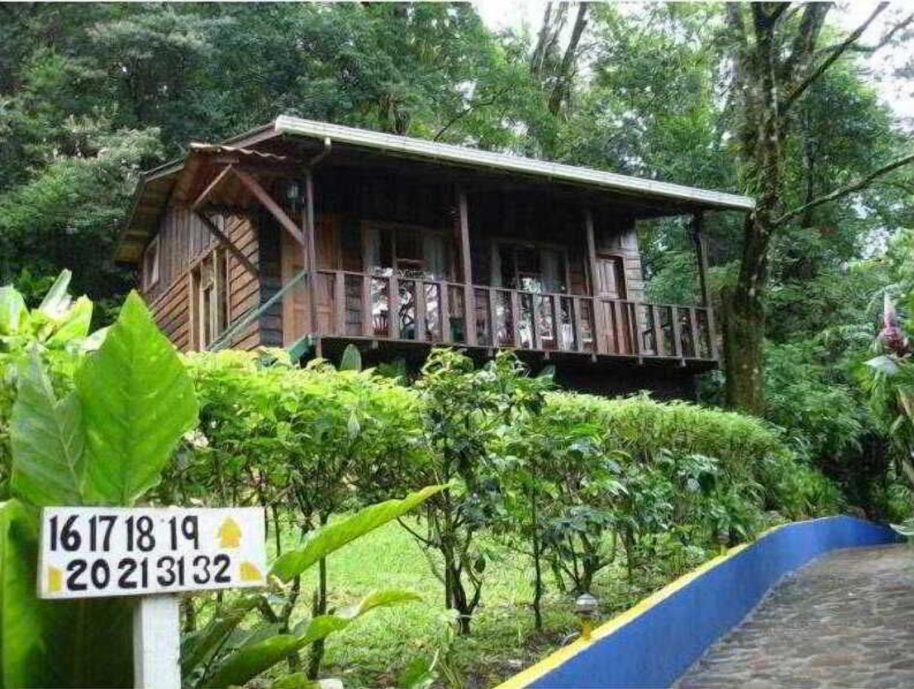 Pemandangan dari properti