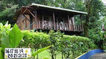 Pemandangan dari properti
