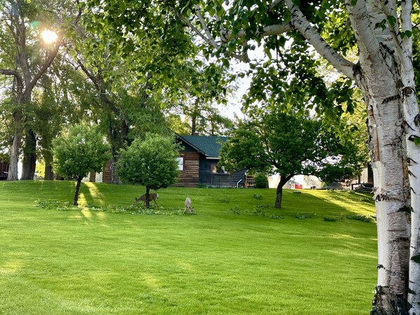 Property grounds - Charming rustic cabin with shared lake access and golf course views.   (Polson)