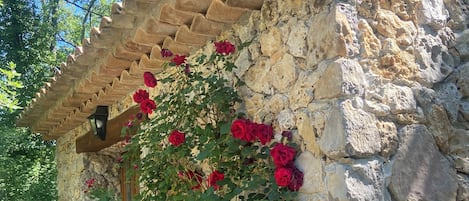 Mặt tiền nơi lưu trú