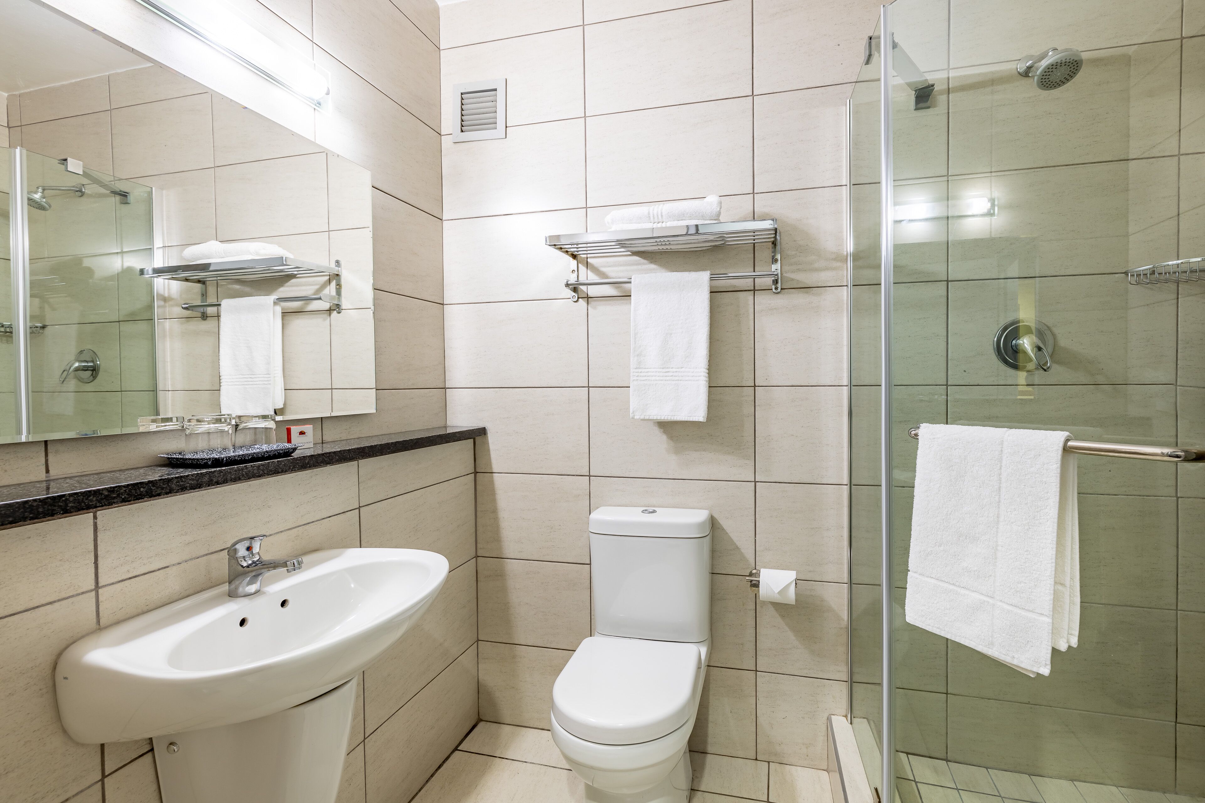 A modern bathroom with a glass shower enclosure, a white sink, and a toilet.