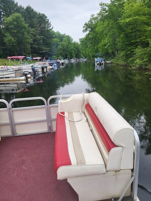 Property grounds - Rustic and Eclectic open floor Plan Cabin with Canal view In Cranberry lake 😋.  (Harrison)