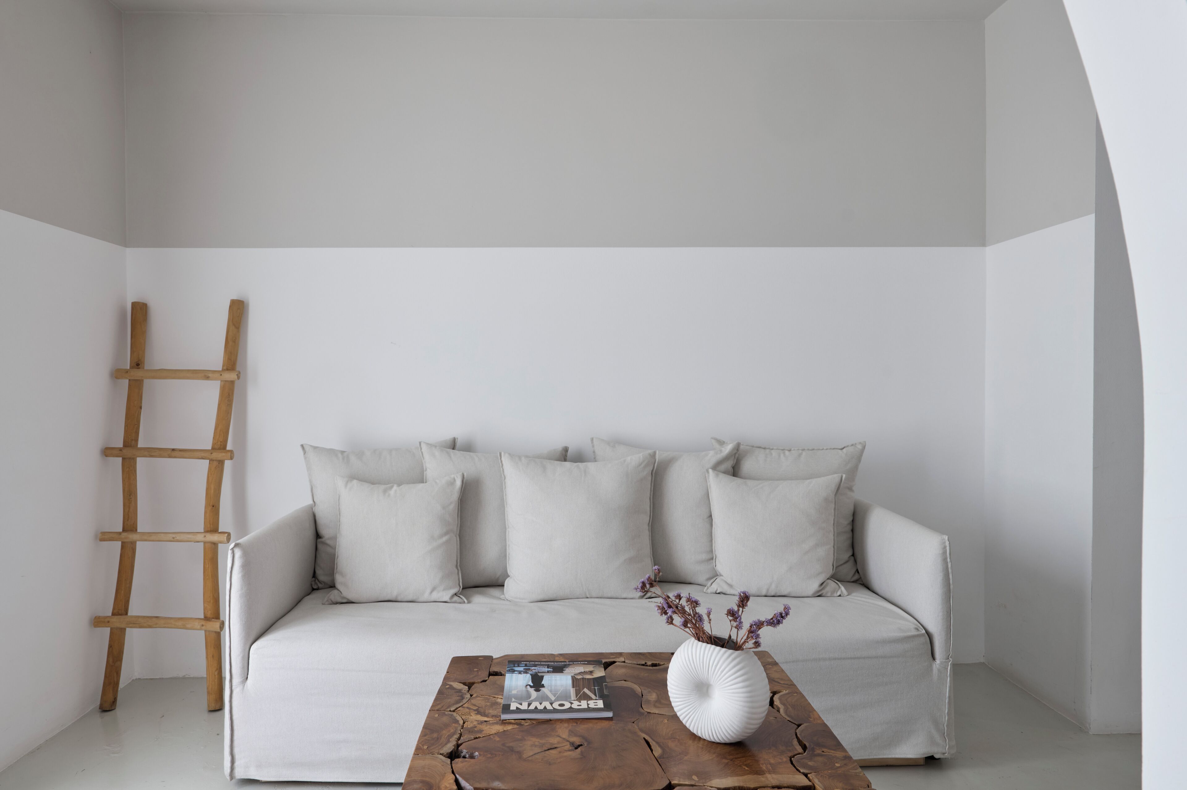 A minimalist living room with a sofa, a wooden coffee table, and a ladder against the wall.