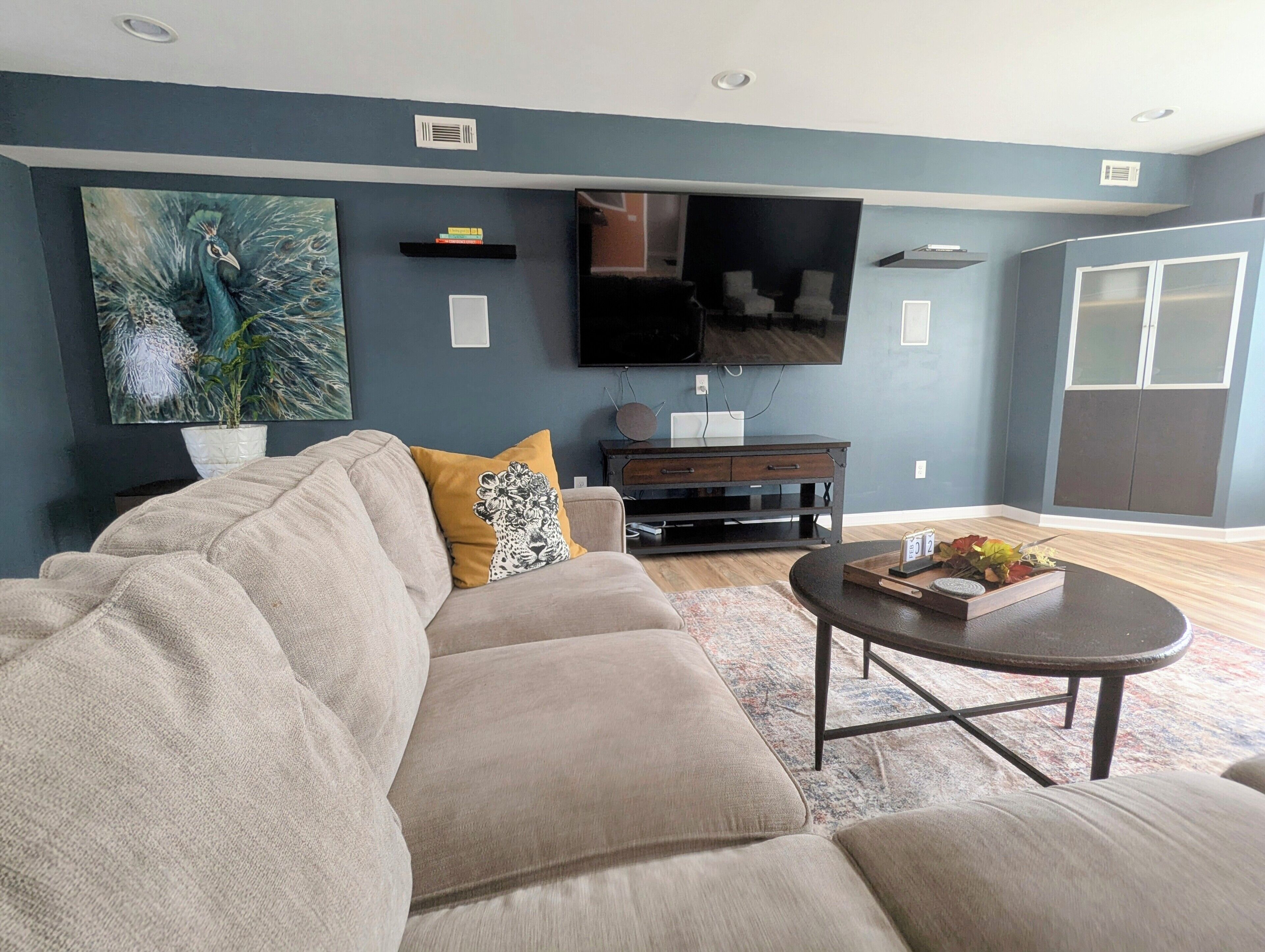 Smart TV, computer monitors