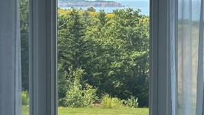 Ein Fenster mit Blick auf ein grasbewachsenes Feld und Bäume, das zu einem Gewässer und einer entfernten Landmasse führt.