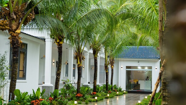 A pathway lined with palm trees and tropical plants leading to a building with a blue roof. - NatalieLe's Homestay (Phu Quoc)