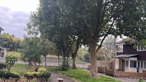 Zona residencial con un árbol grande, un muro de ladrillo y un sendero.