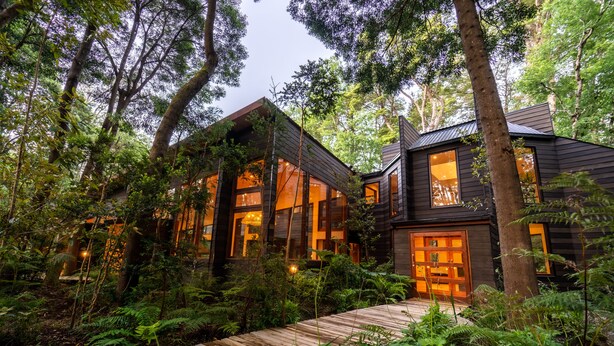 A modern house surrounded by dense forest. - rakau lodge (Pucón)