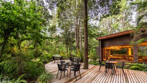 A wooden deck with outdoor seating, surrounded by dense forest. - rakau lodge (Pucón)