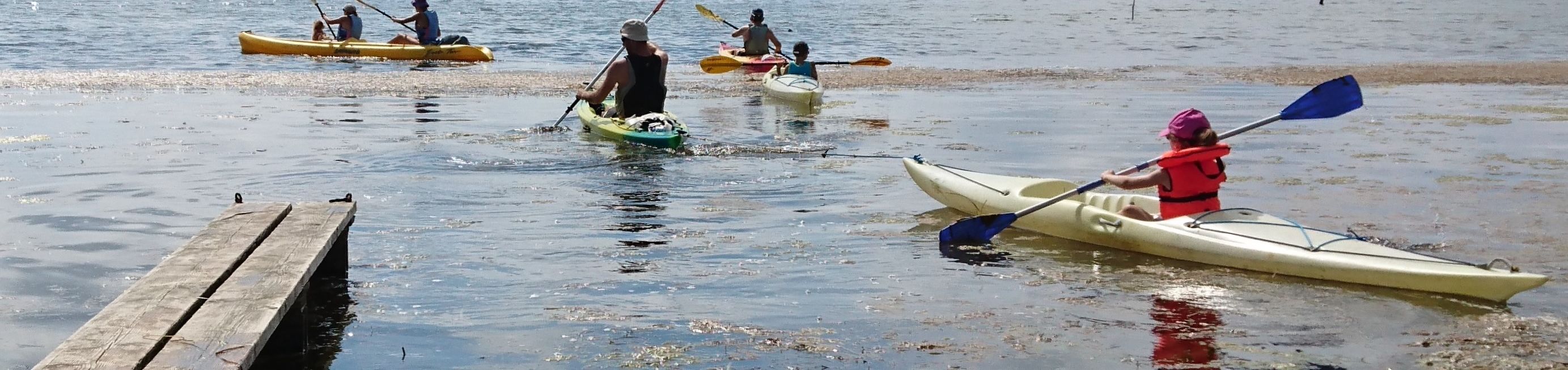 People kayaking on a calm body of water near a wooden dock.