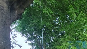A dirt path leading to a wooden structure with a swing hanging from a tree. - Daisy's Riverside Log Cabin with 2 kayaks, Arcade, hot tub & recliners. (Pigeon Forge)