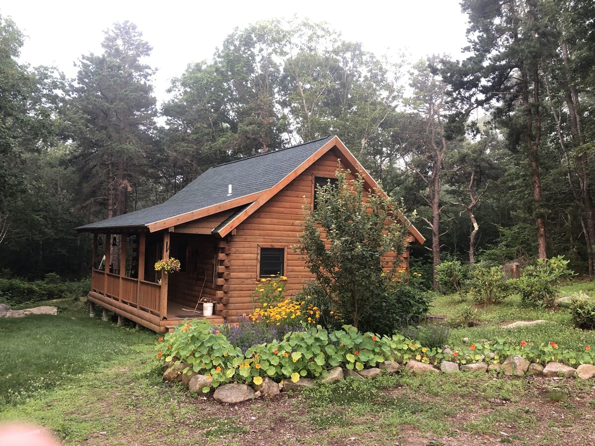 Imagen de perfil del propietario o de la propietaria