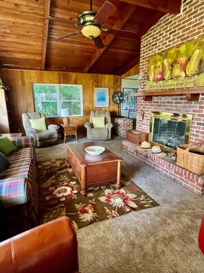 Una Smart TV, una chimenea, un reproductor de DVD, un futbolín