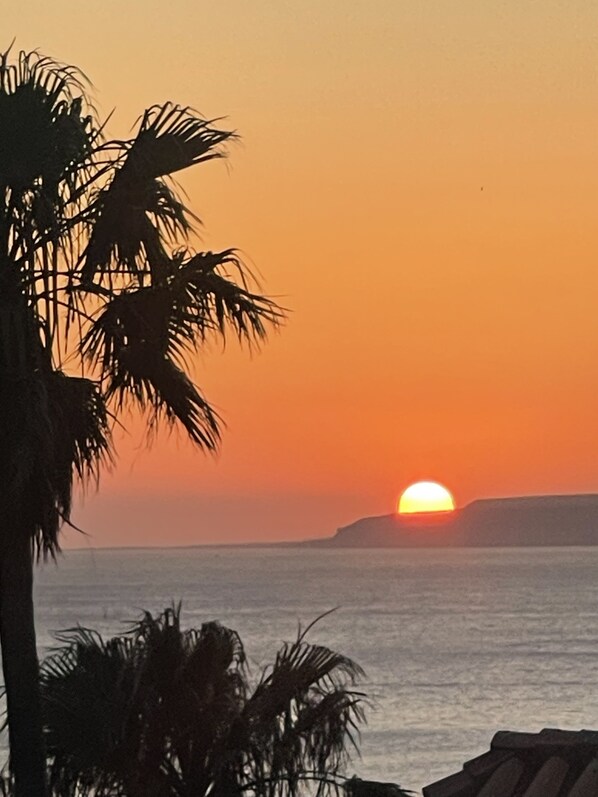 Un atardecer sobre un mar tranquilo con palmeras silueteadas contra el cielo.