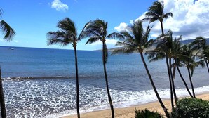 A beach with palm trees and the ocean. - Sugar Beach Oceanfront Condo with Spectacular Views and Steps to Beach (Kihei)