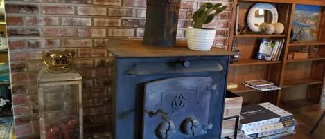 A brick fireplace with a blue stove, a glass vase with a cactus, and a shelf with books and decorative items.