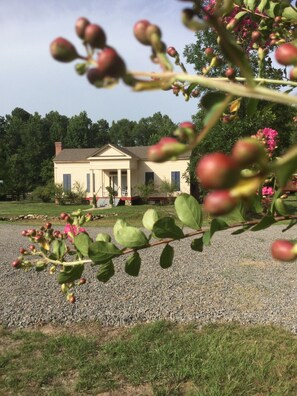 Property grounds - Historic Dog-Trot cabin huge porch Farm-stay (Washington)