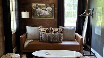 TV, DVD player, books, video library