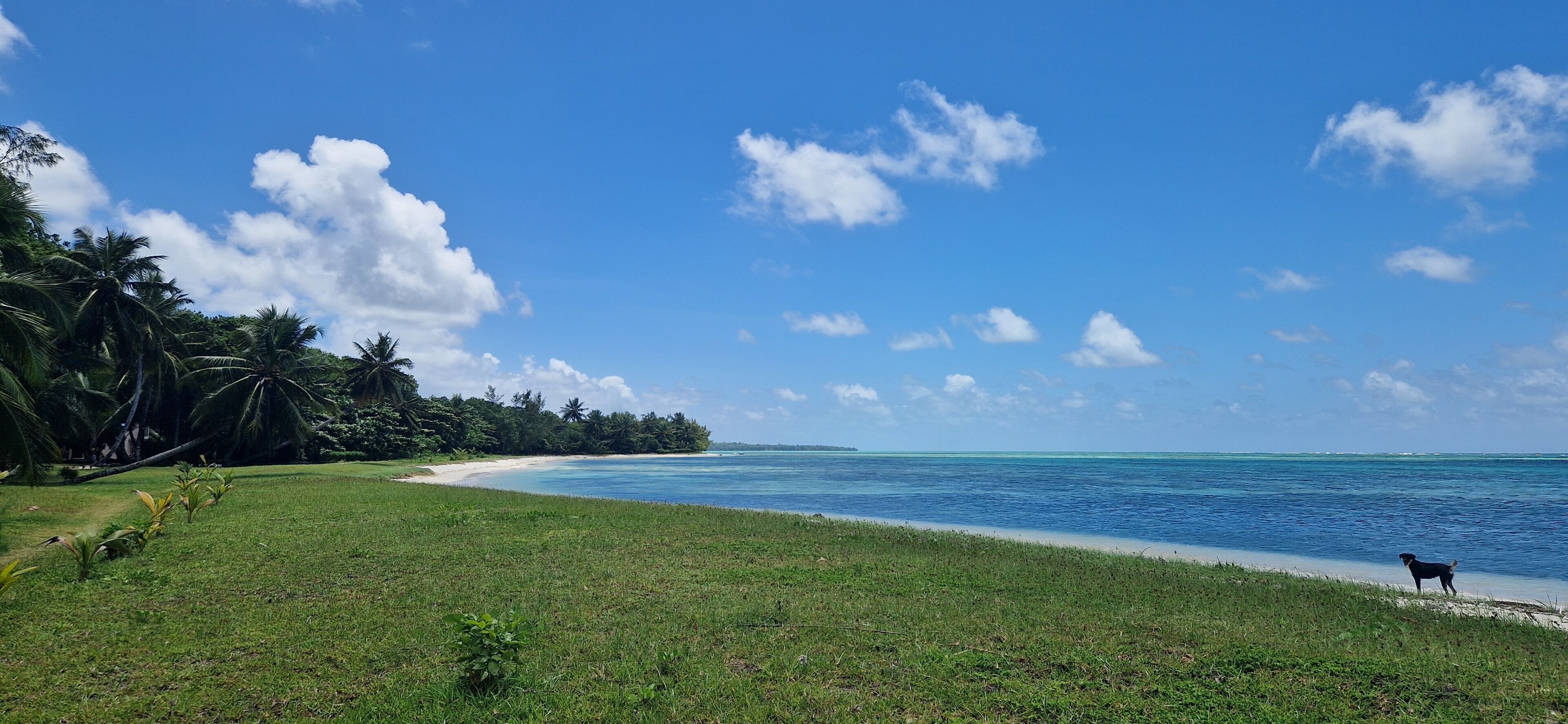 Espreguiçadeiras, toalhas de praia 