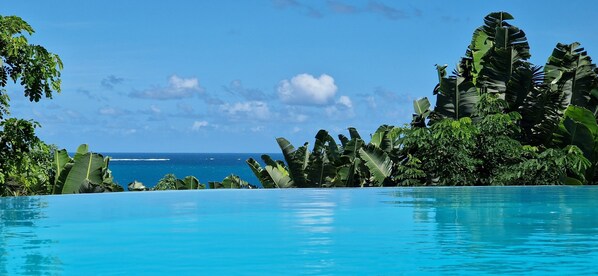 Outdoor pool - Villa exclusive avec piscine vue panoramique sur la mer et la forêt, parc, wifi. (ile sainte marie)