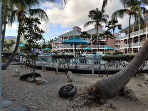 Terrace/patio - Oceanfront Resort on the East End of Grand Cayman (East End)