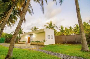 A modern house with a stone pathway leading to the entrance, surrounded by palm trees.