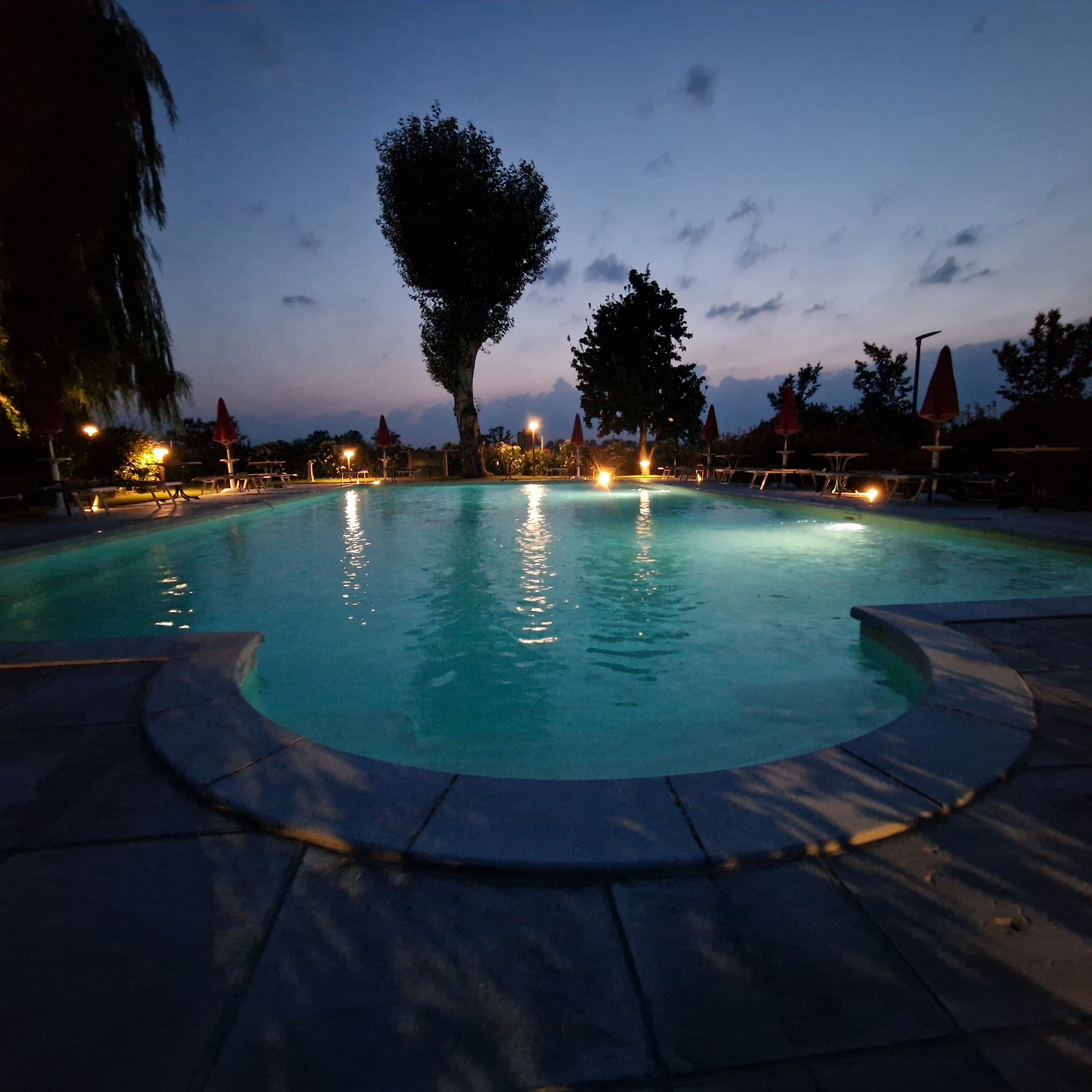 A swimming pool at dusk with surrounding lounge chairs and umbrellas, surrounded by trees and a clear sky.