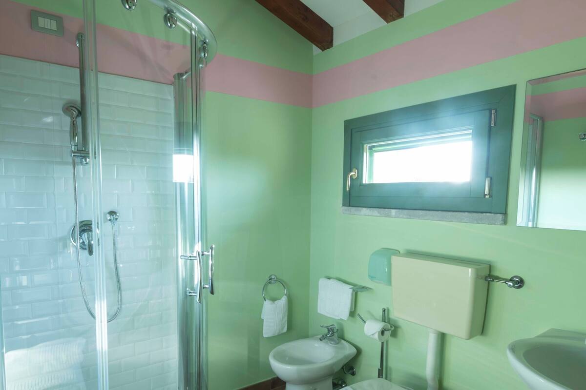 A bathroom with a glass-enclosed shower, two toilets, a sink, and a mirror.