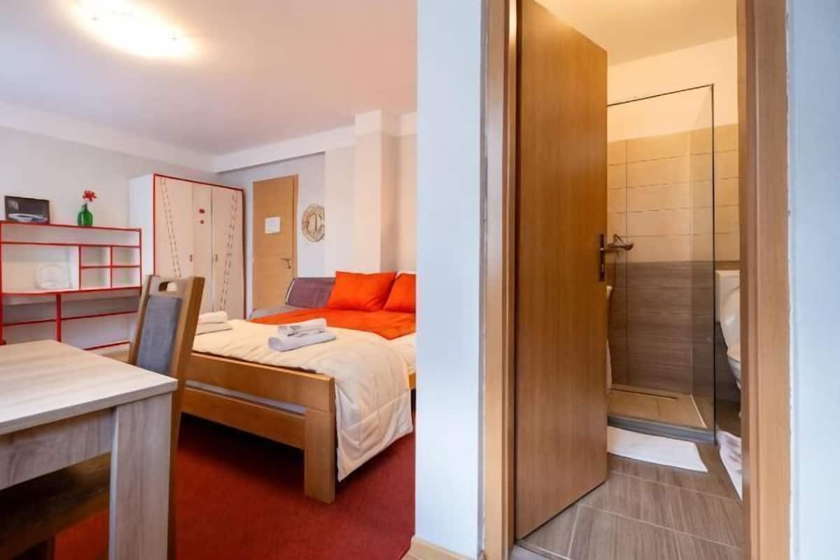 A bedroom with a bed, a desk, a wardrobe, and a shower area.