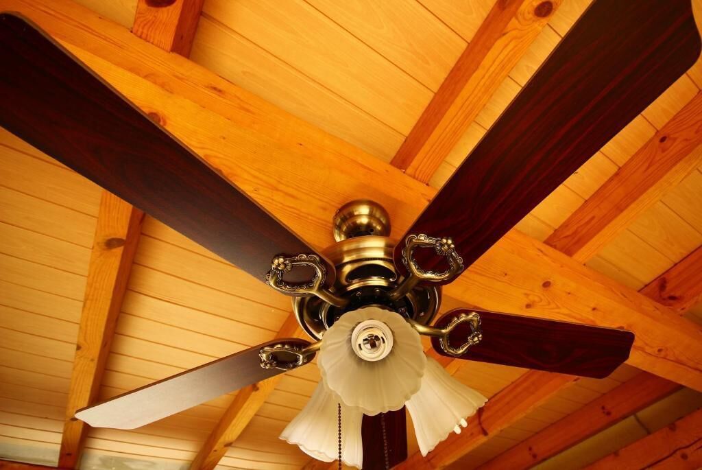 Foto - Guesthouse Rose