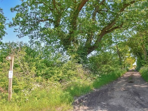 A dirt path with a wooden signpost, surrounded by lush greenery and trees.