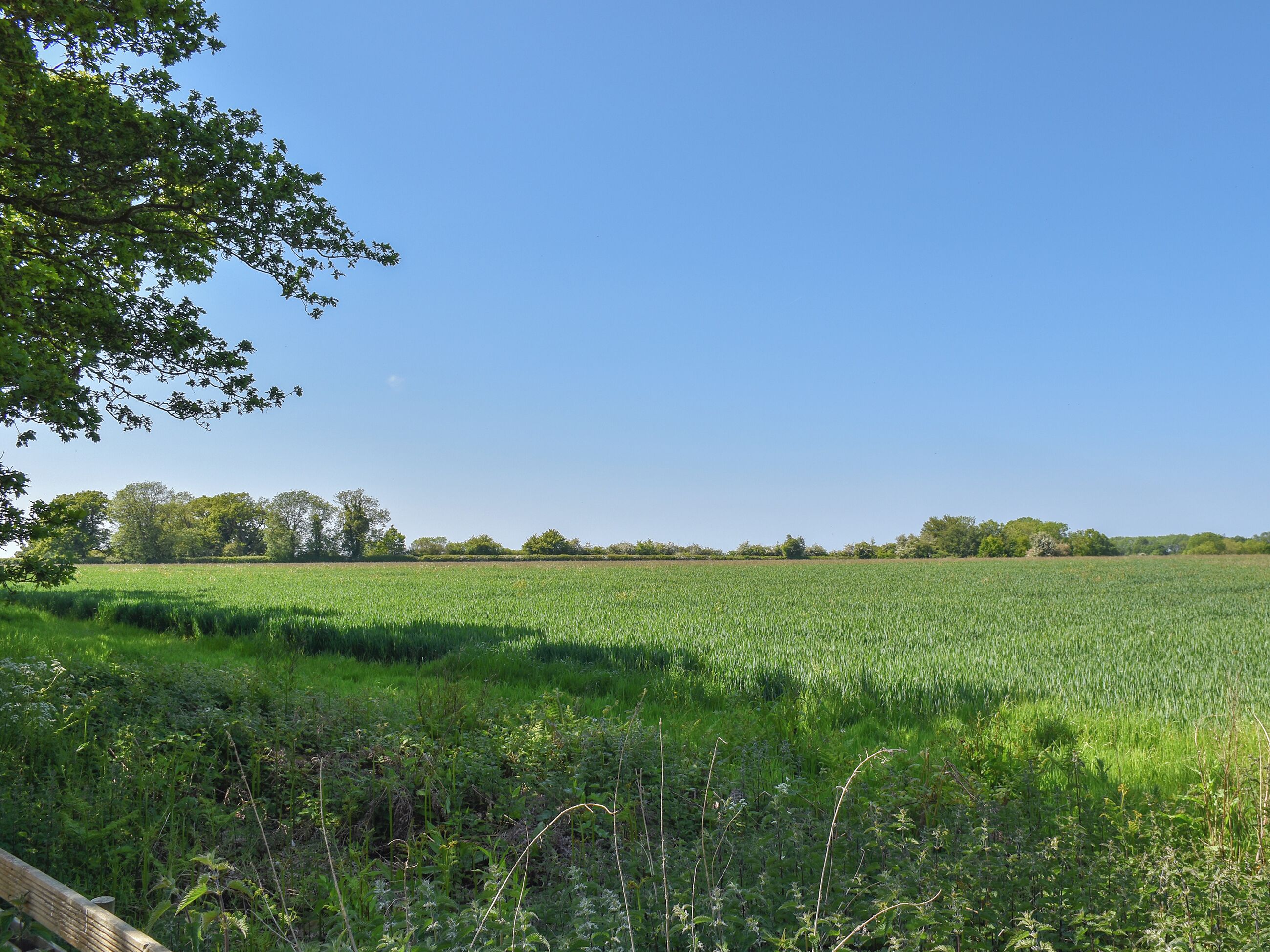 A field with a wooden fence and trees in the background.