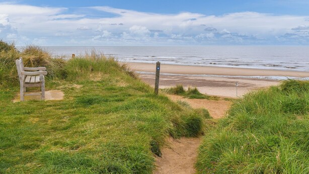 A beach path with a bench and a signpost.