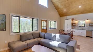 TV, fireplace, books