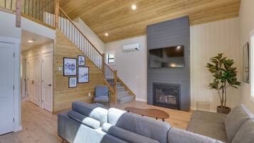 TV, fireplace, books